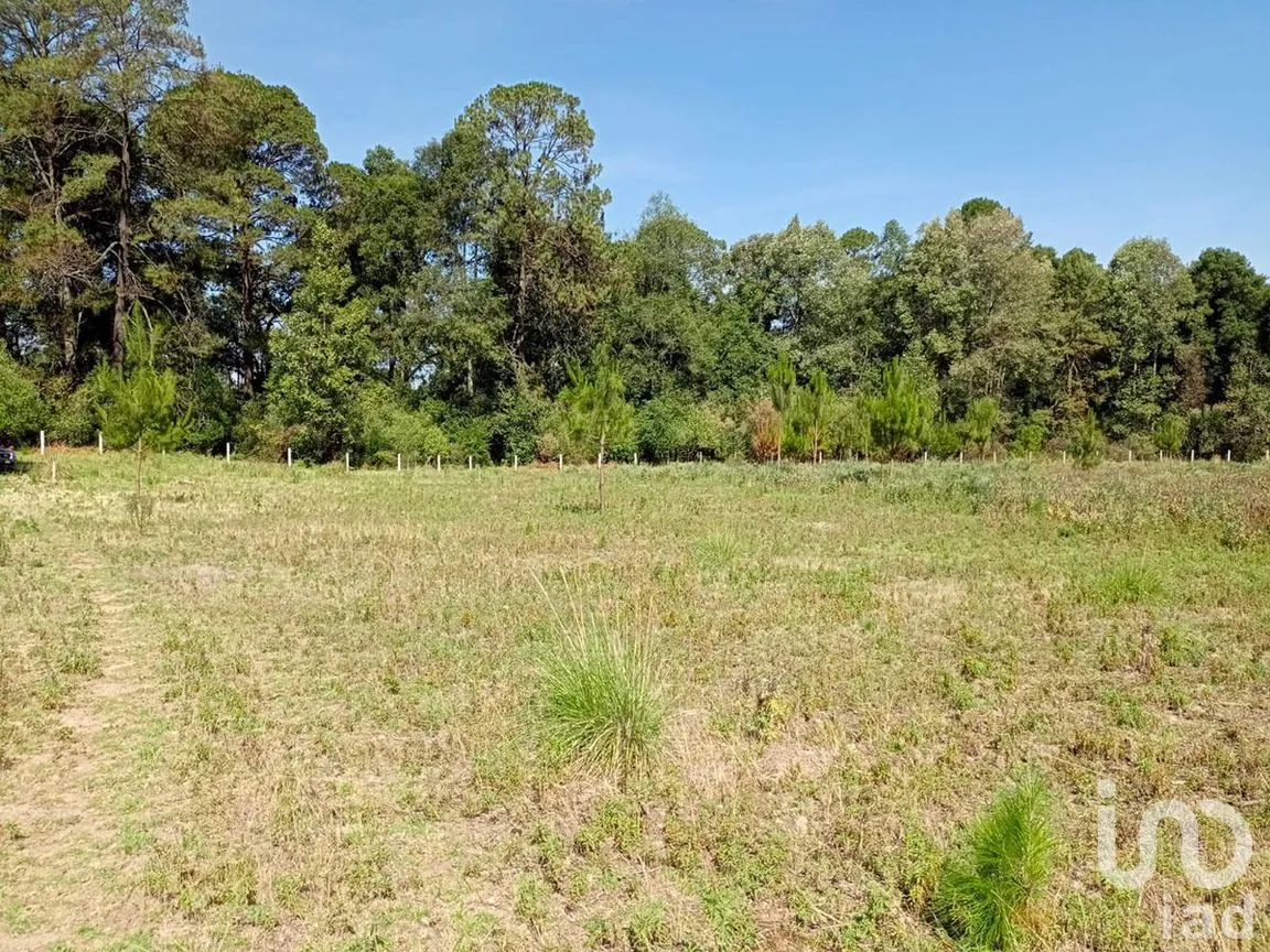 Terreno en Venta en San Juan, Amanalco, Estado De México | NEX-227311 | iad México | Foto 4 de 9