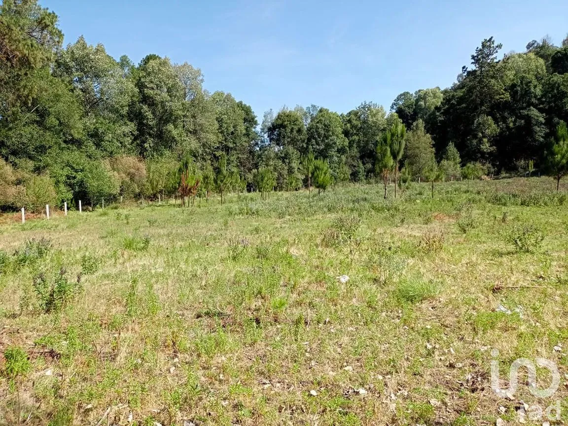 Terreno en Venta en San Juan, Amanalco, Estado De México | NEX-227311 | iad México | Foto 5 de 9