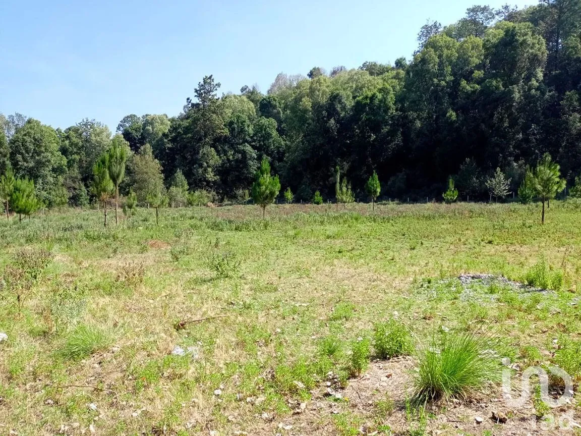 Terreno en Venta en San Juan, Amanalco, Estado De México | NEX-227311 | iad México | Foto 6 de 9