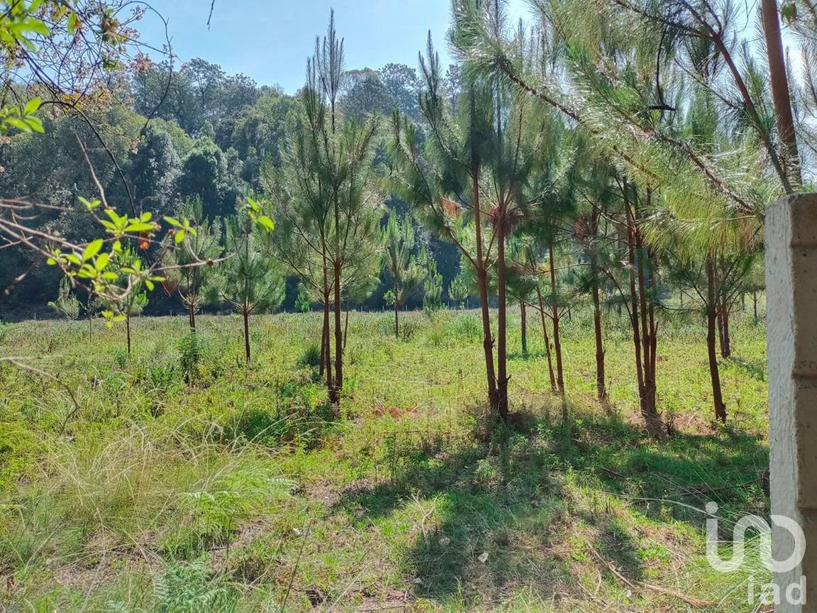 Terreno en Venta en San Juan, Amanalco, Estado De México | NEX-227311 | iad México | Foto 8 de 9