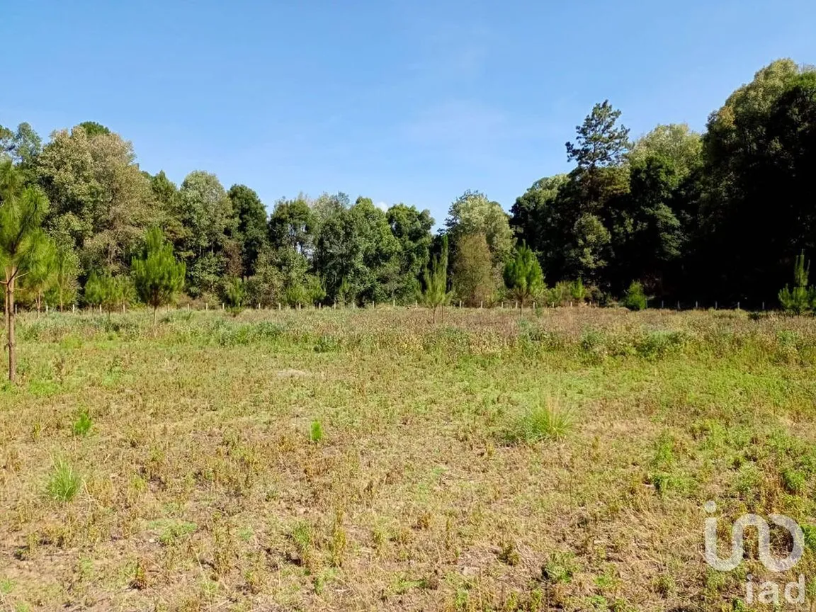 Terreno en Venta en San Juan, Amanalco, Estado De México | NEX-227311 | iad México | Foto 1 de 9