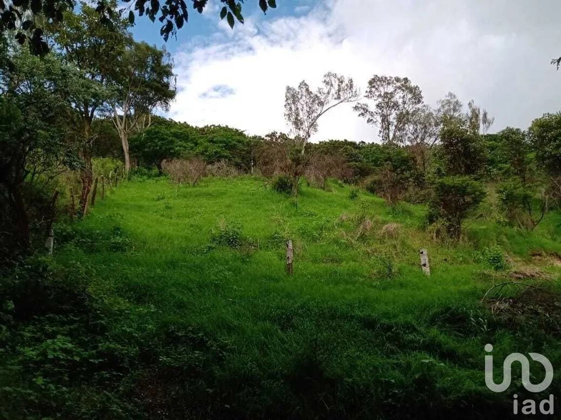 Terreno en Venta en El Durazno, Valle de Bravo, Estado De México | NEX-227312 | iad México | Foto 3 de 4