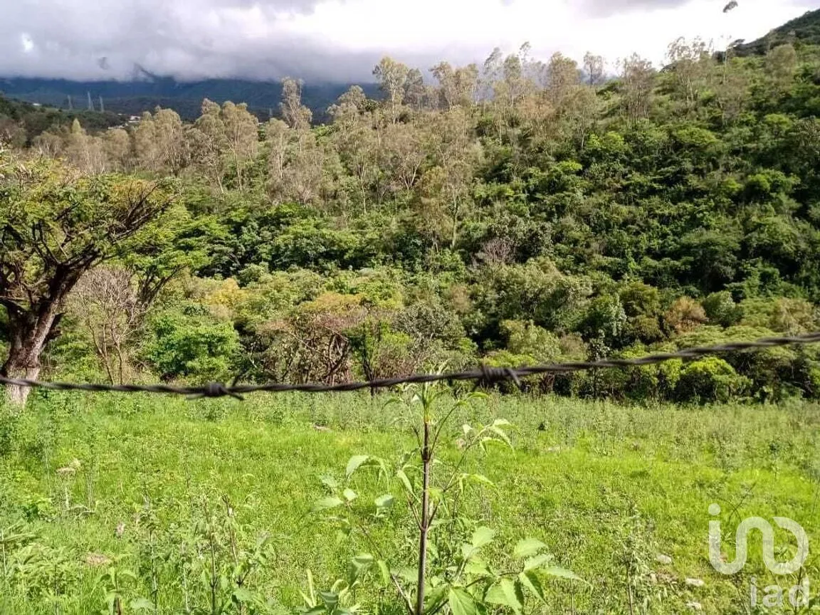 Terreno en Venta en El Durazno, Valle de Bravo, Estado De México | NEX-227312 | iad México | Foto 4 de 4