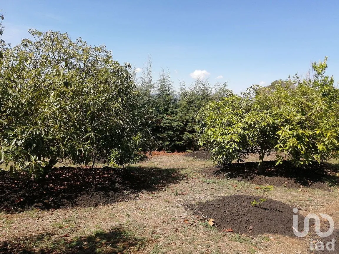 Terreno en Venta en San Gabriel Ixtla, Valle de Bravo, Estado De México | NEX-227313 | iad México | Foto 2 de 10