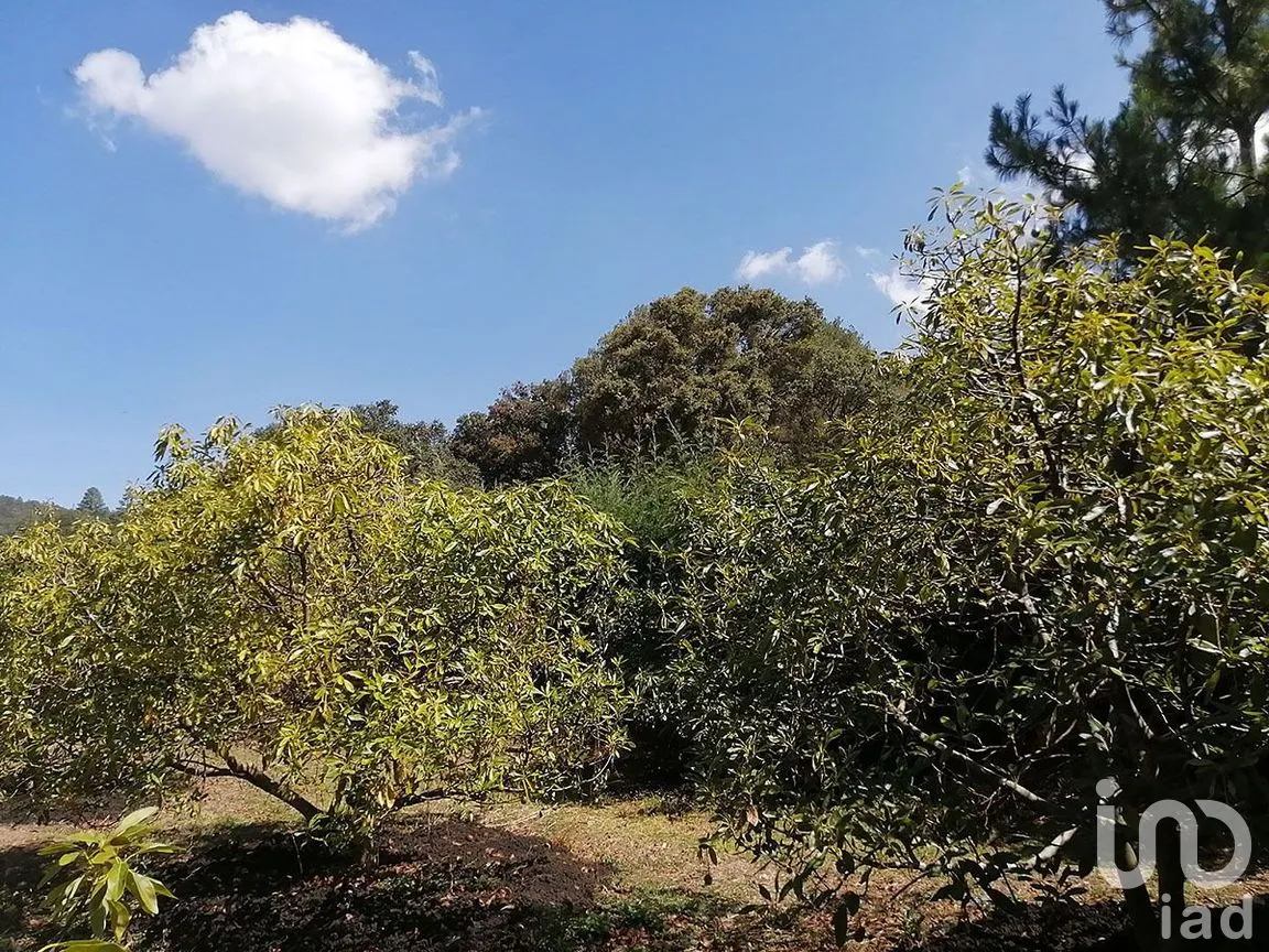 Terreno en Venta en San Gabriel Ixtla, Valle de Bravo, Estado De México | NEX-227313 | iad México | Foto 4 de 10