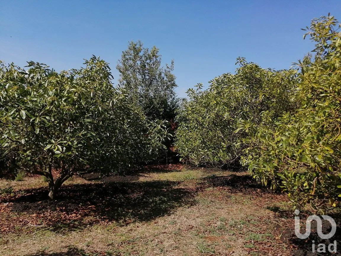 Terreno en Venta en San Gabriel Ixtla, Valle de Bravo, Estado De México | NEX-227313 | iad México | Foto 7 de 10