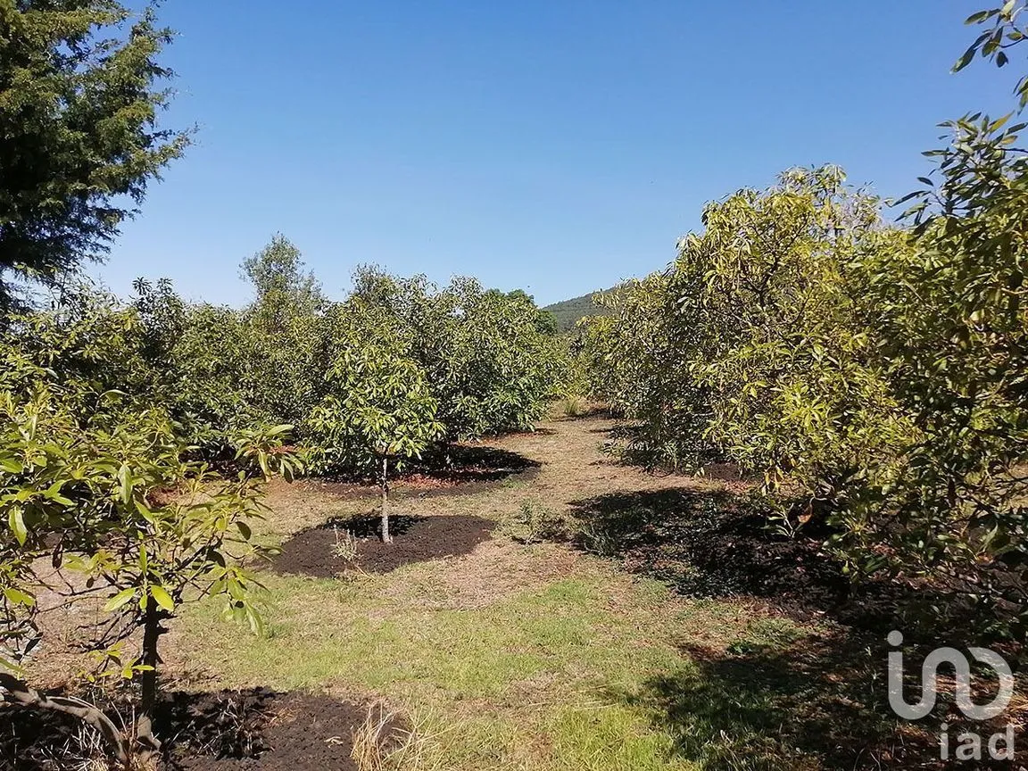 Terreno en Venta en San Gabriel Ixtla, Valle de Bravo, Estado De México | NEX-227313 | iad México | Foto 1 de 10
