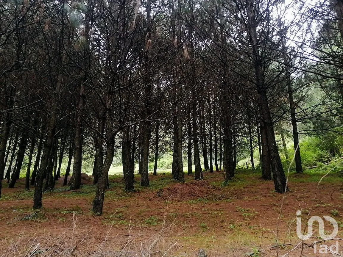 Terreno en Venta en Los Saúcos, Valle de Bravo, Estado De México | NEX-227316 | iad México | Foto 2 de 11