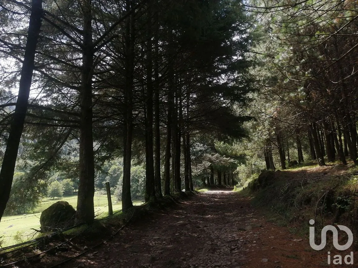 Terreno en Venta en Los Saúcos, Valle de Bravo, Estado De México | NEX-227316 | iad México | Foto 3 de 11