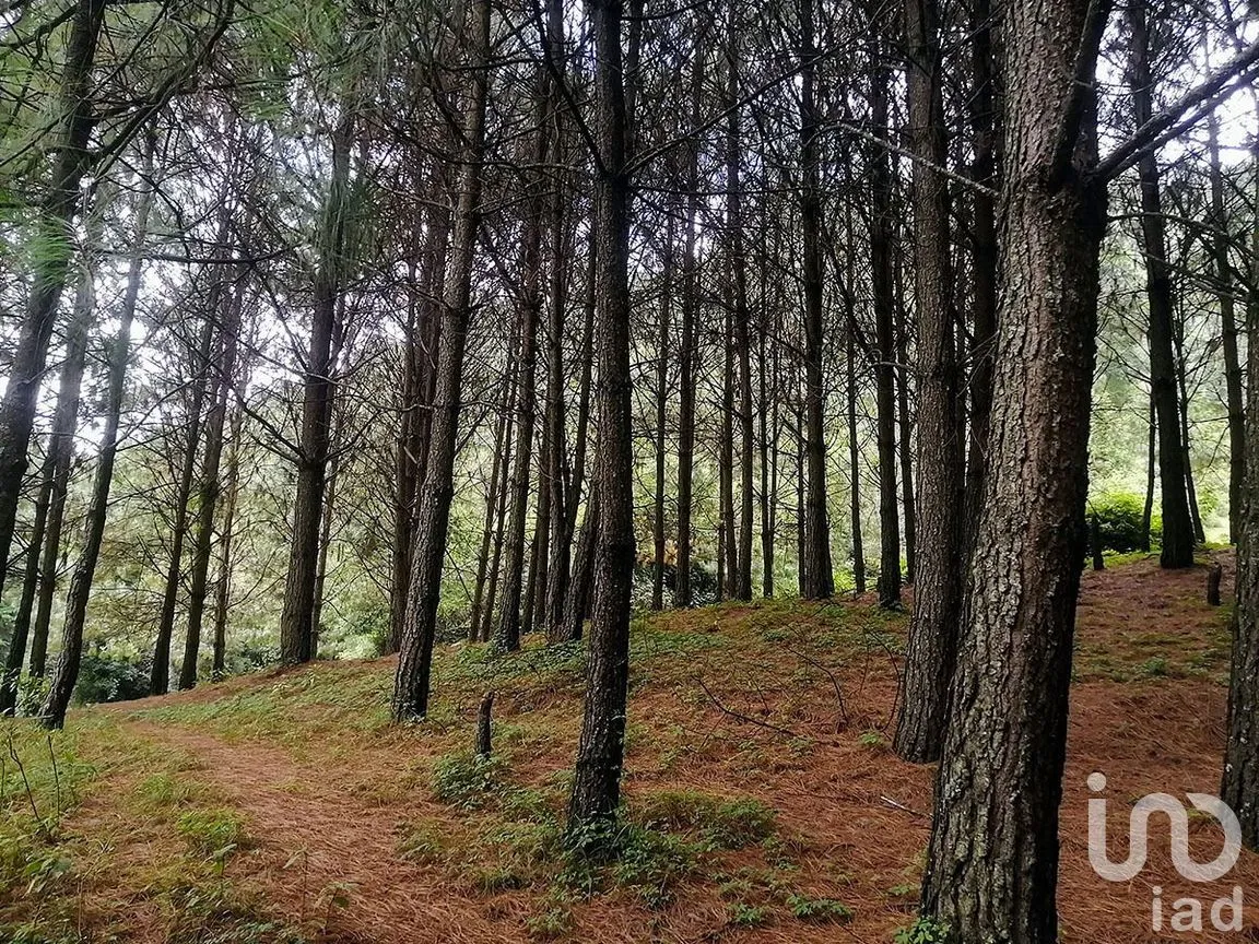 Terreno en Venta en Los Saúcos, Valle de Bravo, Estado De México | NEX-227316 | iad México | Foto 4 de 11