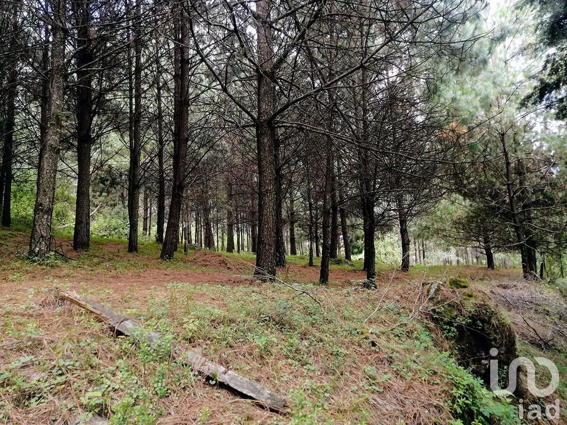 Terreno en Venta en Los Saúcos, Valle de Bravo, Estado De México | NEX-227316 | iad México | Foto 5 de 11