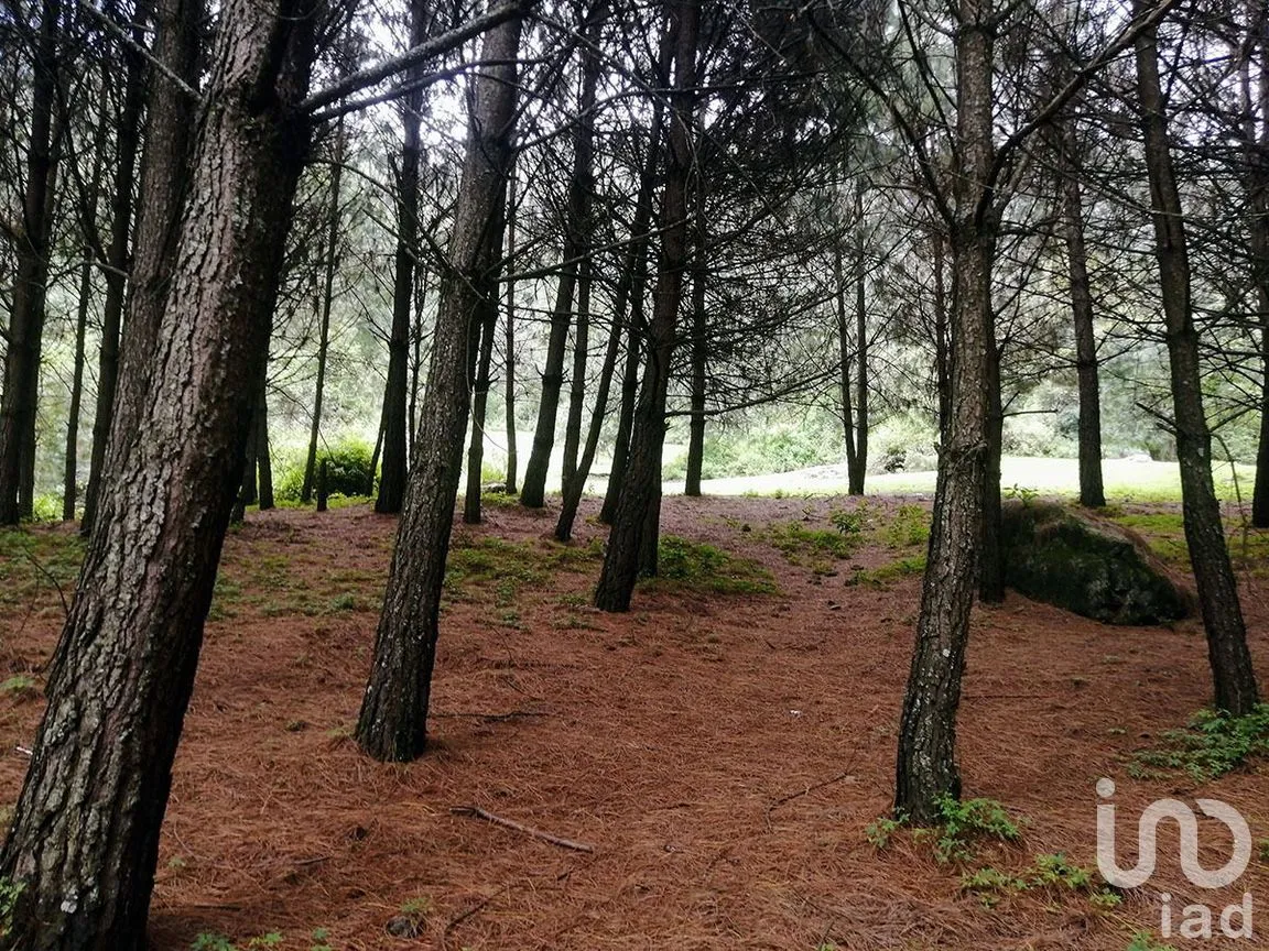 Terreno en Venta en Los Saúcos, Valle de Bravo, Estado De México | NEX-227316 | iad México | Foto 6 de 11