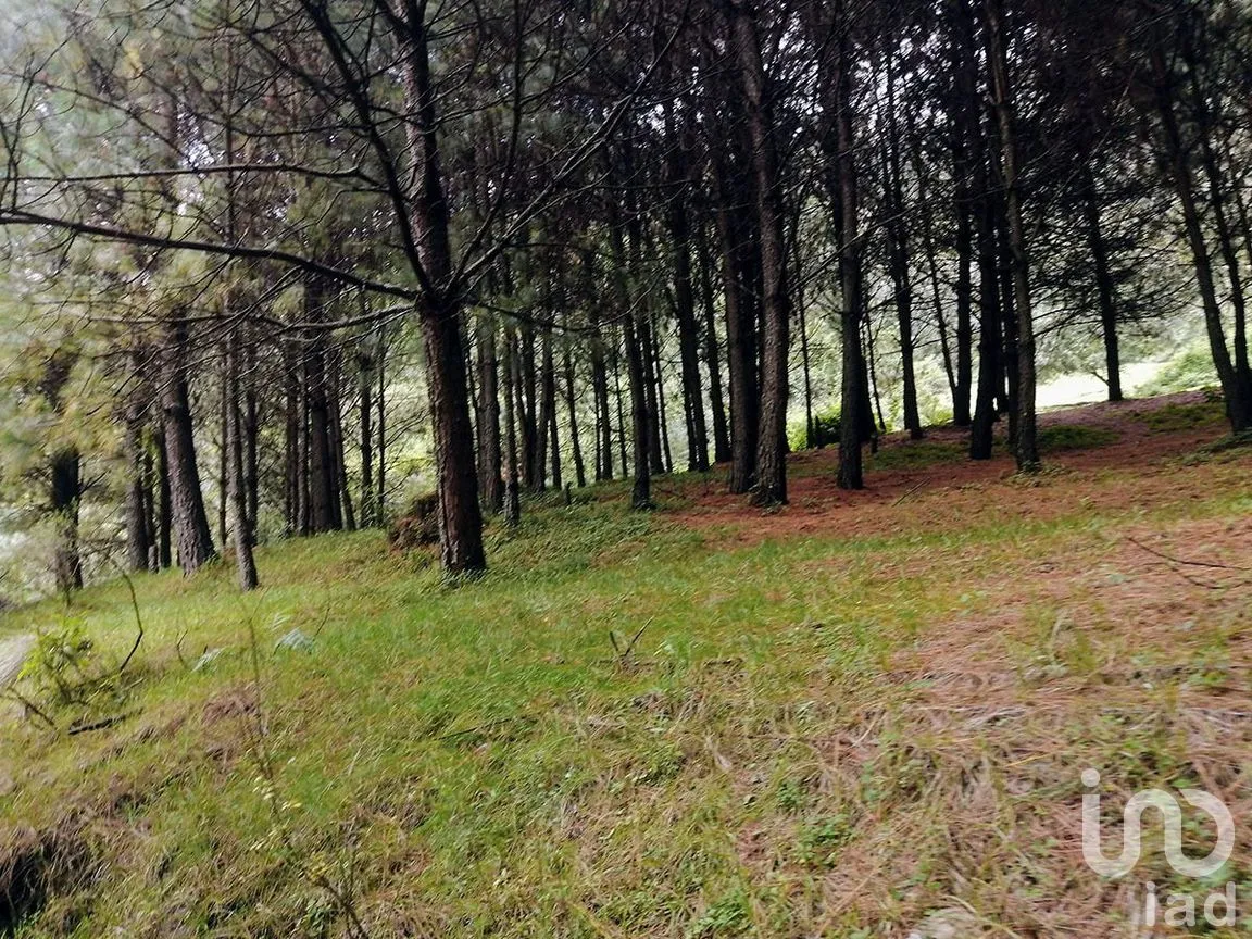 Terreno en Venta en Los Saúcos, Valle de Bravo, Estado De México | NEX-227316 | iad México | Foto 9 de 11