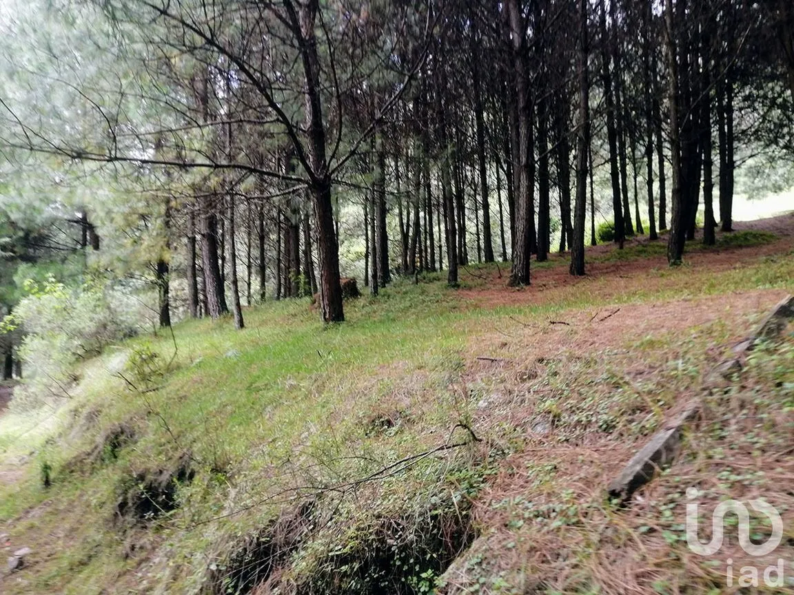 Terreno en Venta en Los Saúcos, Valle de Bravo, Estado De México | NEX-227316 | iad México | Foto 10 de 11