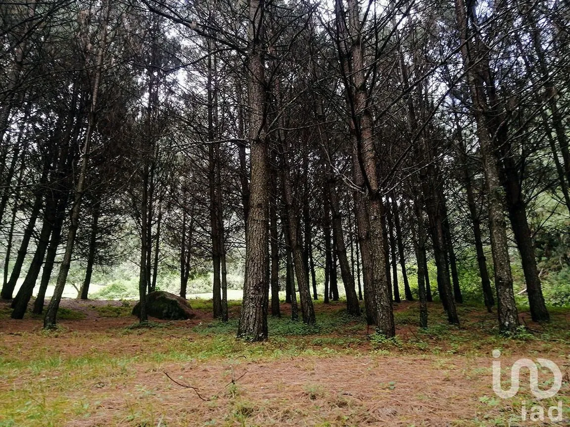 Terreno en Venta en Los Saúcos, Valle de Bravo, Estado De México | NEX-227316 | iad México | Foto 1 de 11