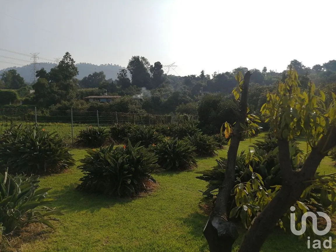 Terreno en Venta en Pipioltepec, Valle de Bravo, Estado De México | NEX-227317 | iad México | Foto 6 de 12