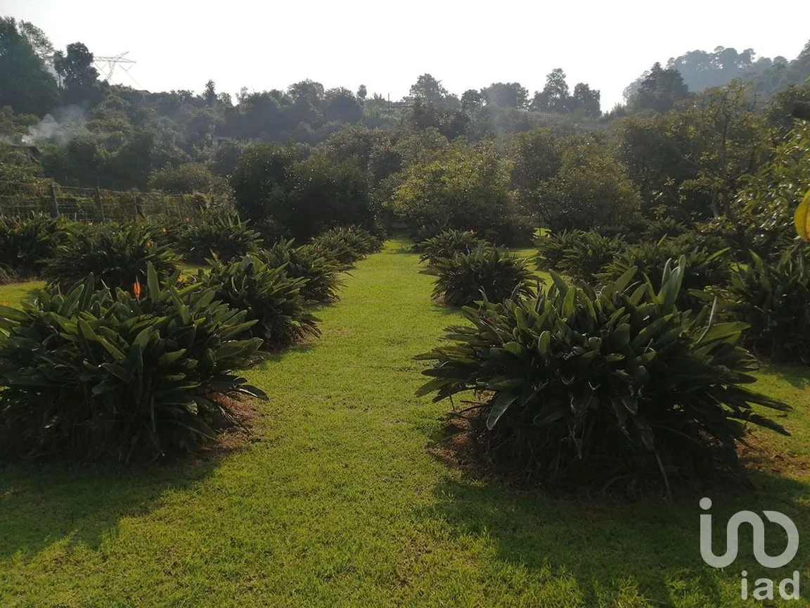 Terreno en Venta en Pipioltepec, Valle de Bravo, Estado De México | NEX-227317 | iad México | Foto 7 de 12
