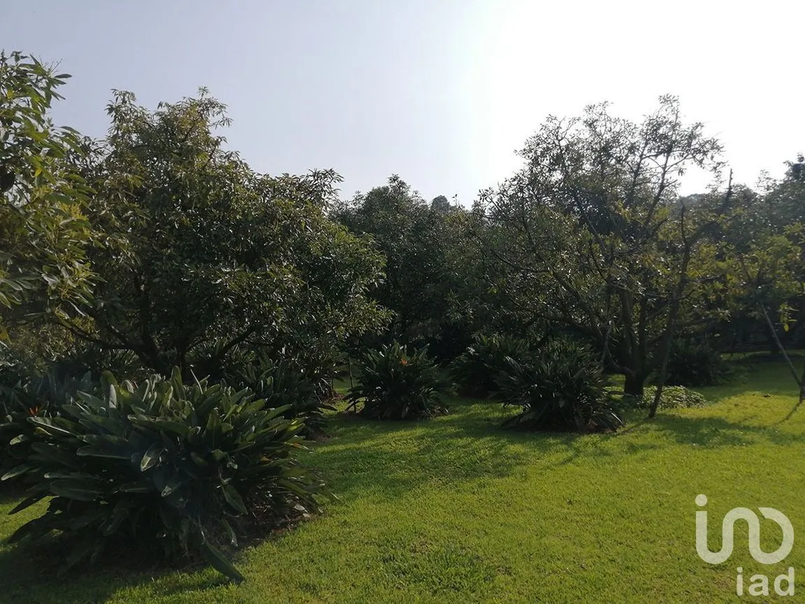 Terreno en Venta en Pipioltepec, Valle de Bravo, Estado De México | NEX-227317 | iad México | Foto 8 de 12