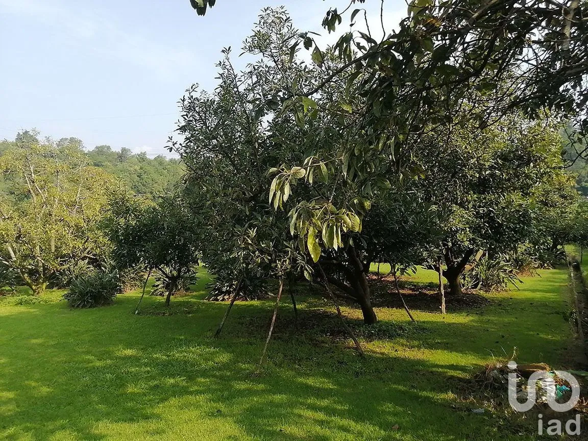 Terreno en Venta en Pipioltepec, Valle de Bravo, Estado De México | NEX-227317 | iad México | Foto 9 de 12