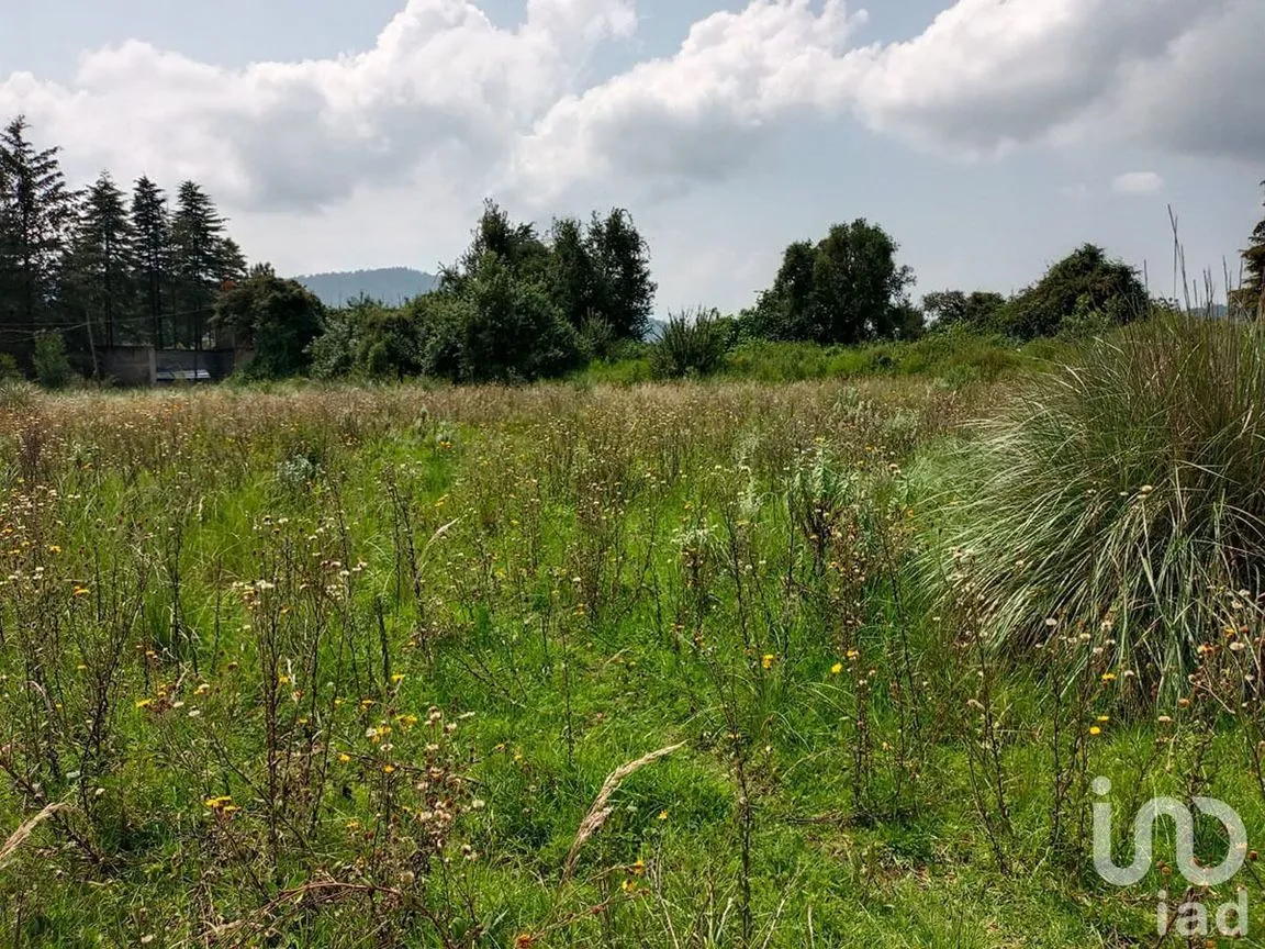 Terreno en Venta en El Fresno, Valle de Bravo, Estado De México | NEX-227318 | iad México | Foto 2 de 13