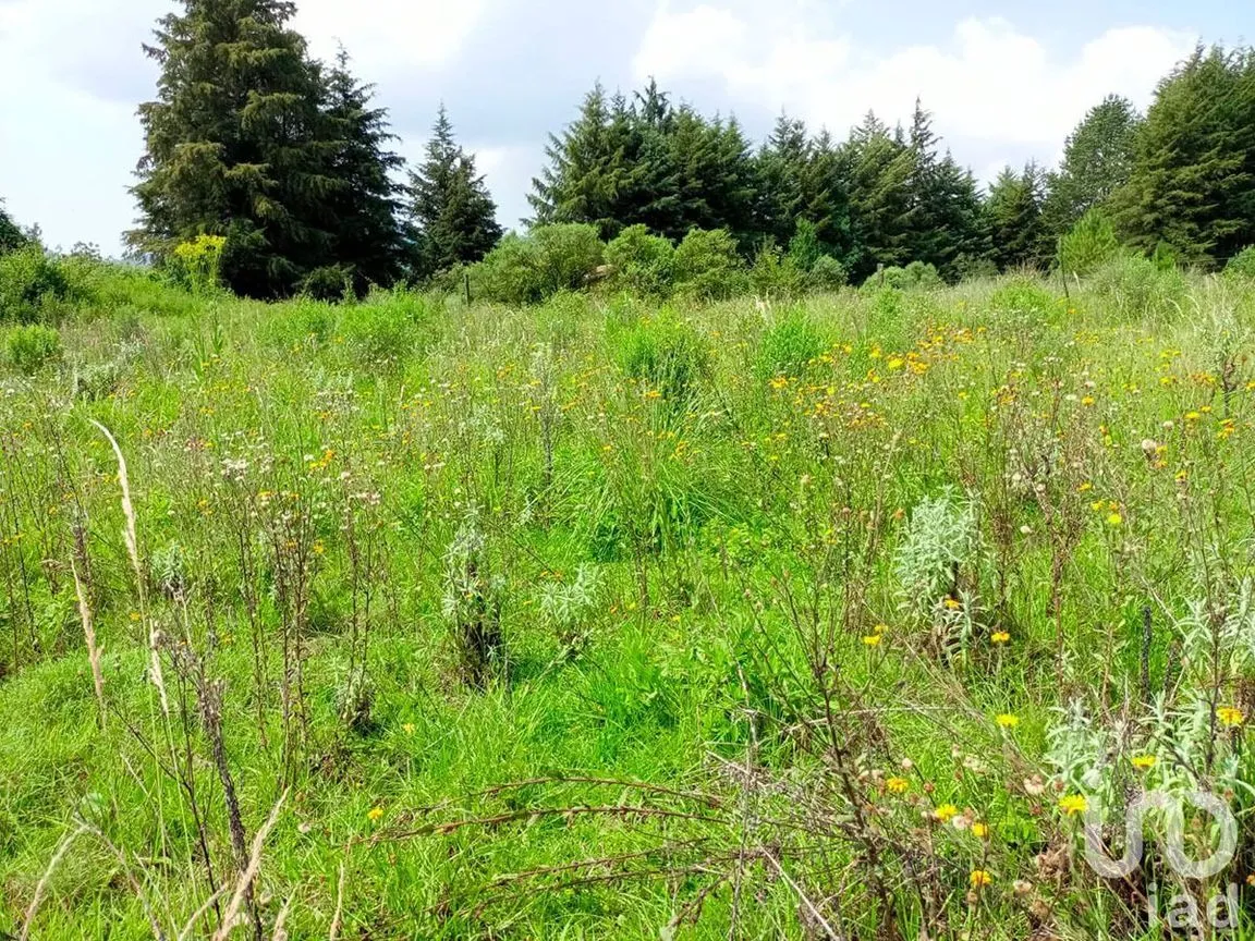 Terreno en Venta en El Fresno, Valle de Bravo, Estado De México | NEX-227318 | iad México | Foto 11 de 13