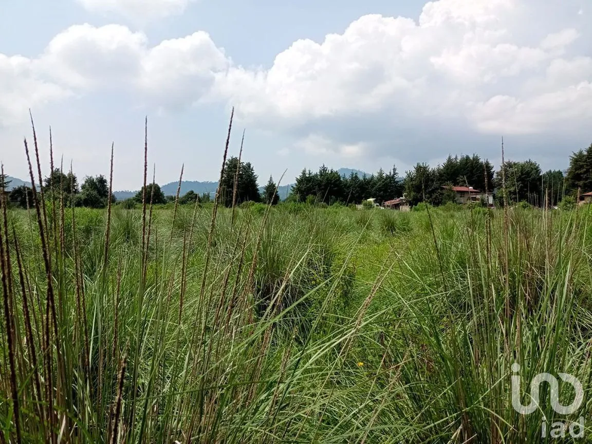 Terreno en Venta en El Fresno, Valle de Bravo, Estado De México | NEX-227318 | iad México | Foto 4 de 13