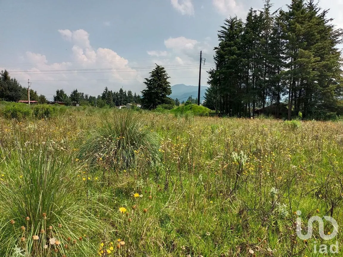 Terreno en Venta en El Fresno, Valle de Bravo, Estado De México | NEX-227318 | iad México | Foto 6 de 13