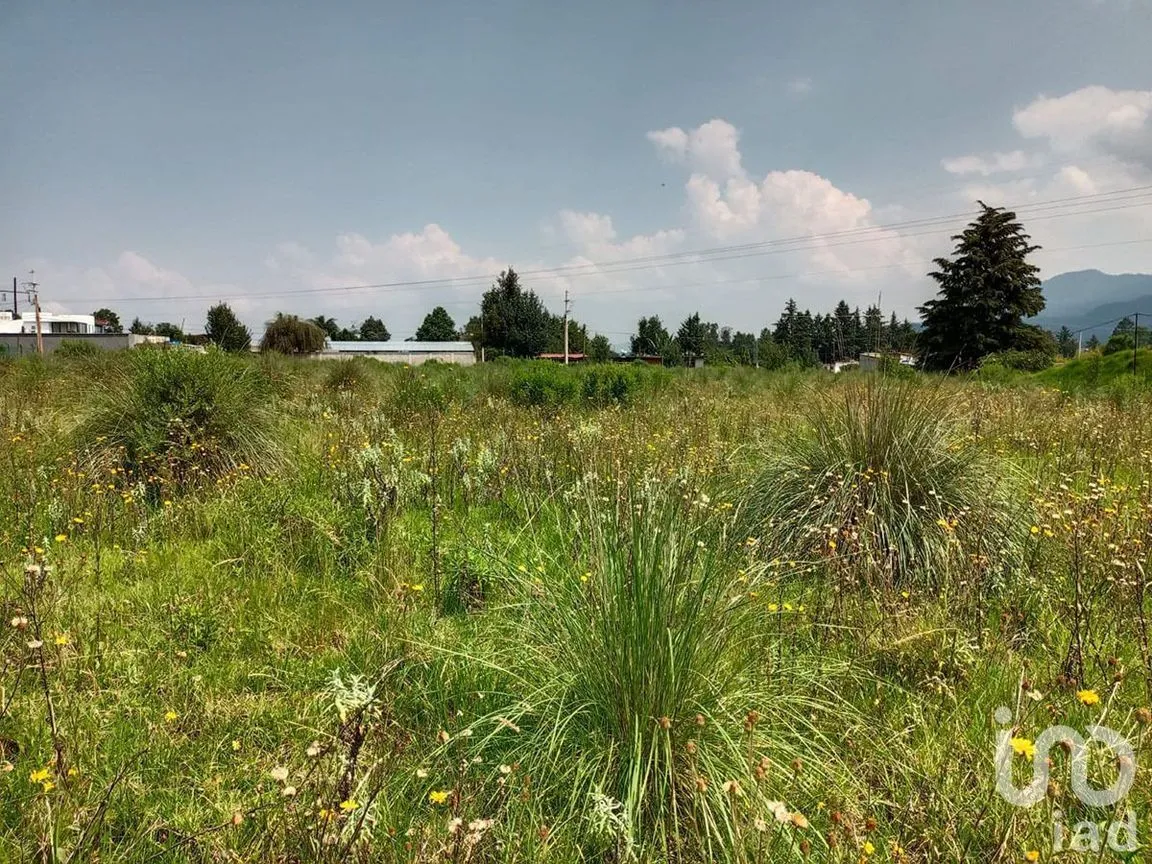 Terreno en Venta en El Fresno, Valle de Bravo, Estado De México | NEX-227318 | iad México | Foto 7 de 13