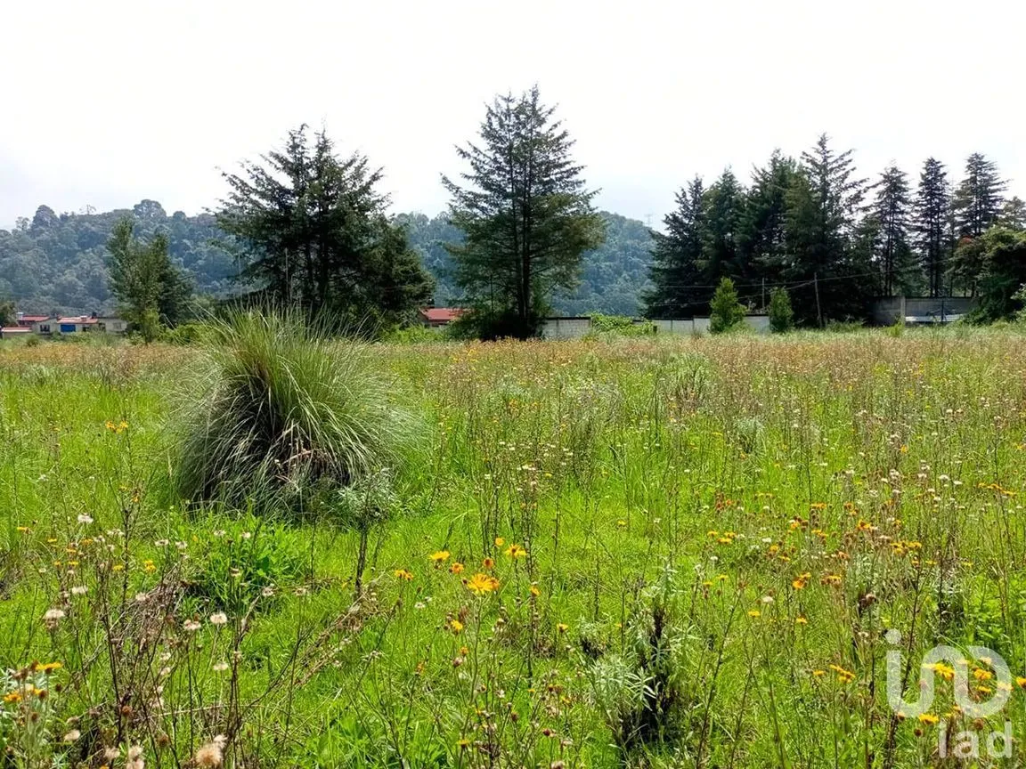 Terreno en Venta en El Fresno, Valle de Bravo, Estado De México | NEX-227318 | iad México | Foto 1 de 13