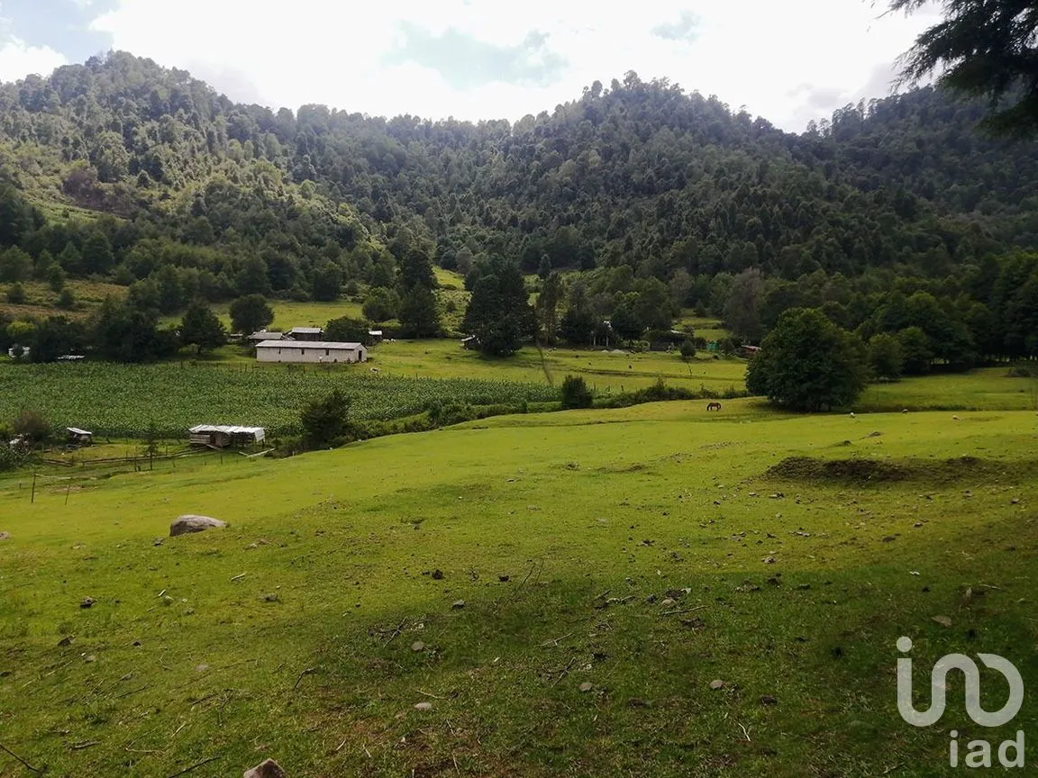 Terreno en Venta en Los Saúcos, Valle de Bravo, Estado De México | NEX-227319 | iad México | Foto 2 de 10