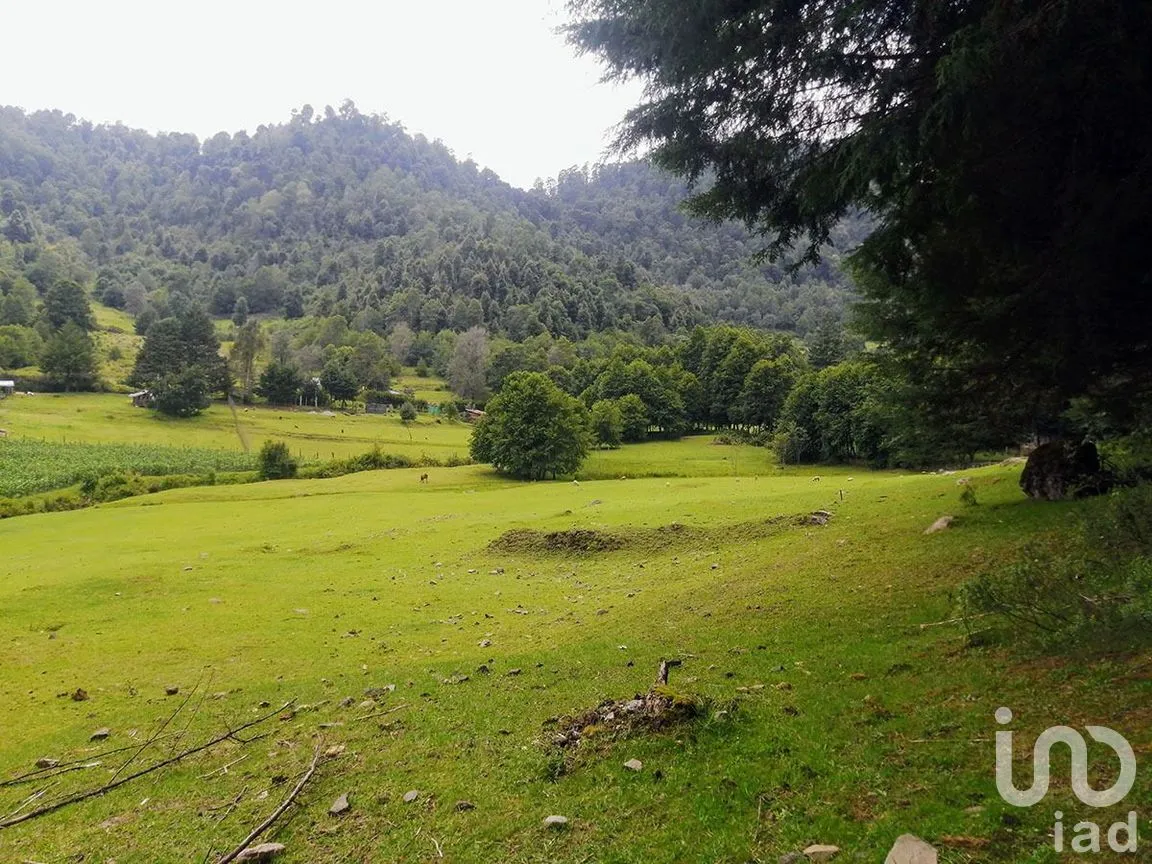 Terreno en Venta en Los Saúcos, Valle de Bravo, Estado De México | NEX-227319 | iad México | Foto 3 de 10
