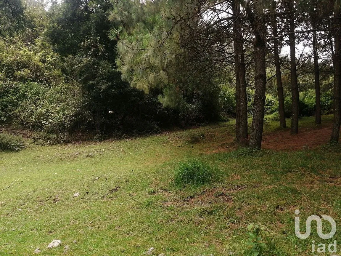 Terreno en Venta en Los Saúcos, Valle de Bravo, Estado De México | NEX-227319 | iad México | Foto 5 de 10