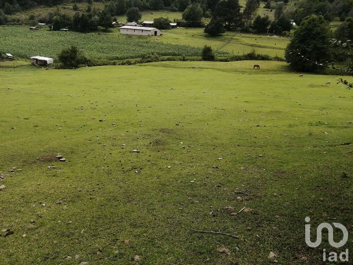 Terreno en Venta en Los Saúcos, Valle de Bravo, Estado De México | NEX-227319 | iad México | Foto 6 de 10