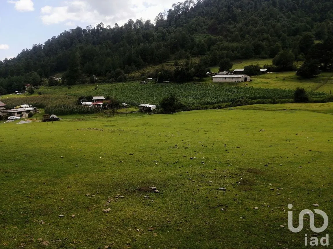 Terreno en Venta en Los Saúcos, Valle de Bravo, Estado De México | NEX-227319 | iad México | Foto 7 de 10
