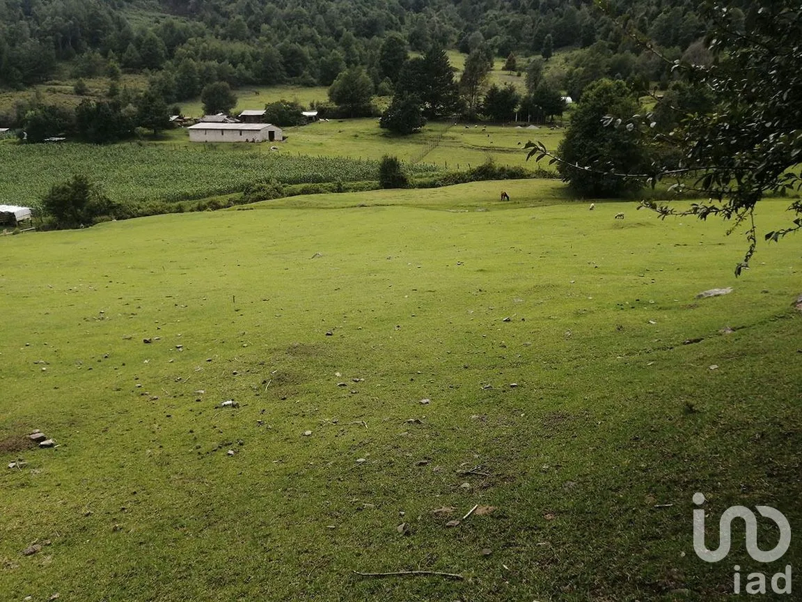 Terreno en Venta en Los Saúcos, Valle de Bravo, Estado De México | NEX-227319 | iad México | Foto 8 de 10