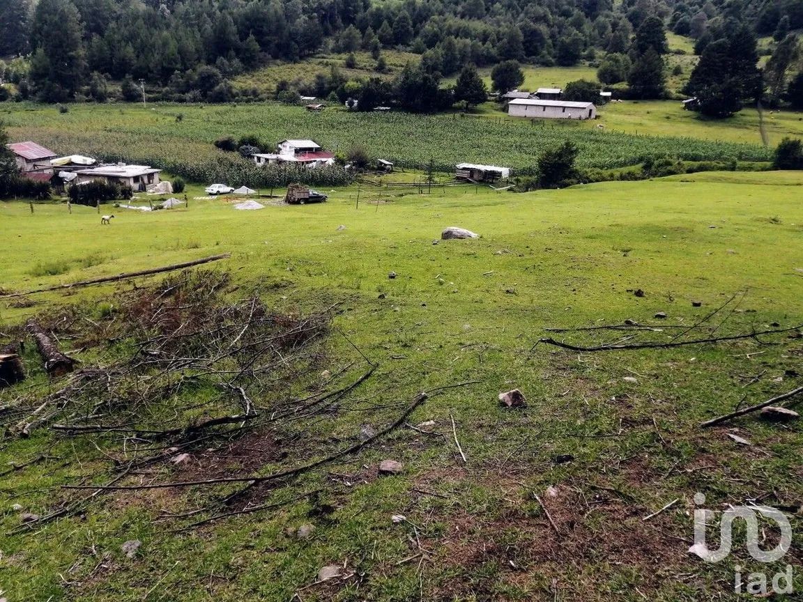 Terreno en Venta en Los Saúcos, Valle de Bravo, Estado De México | NEX-227319 | iad México | Foto 10 de 10