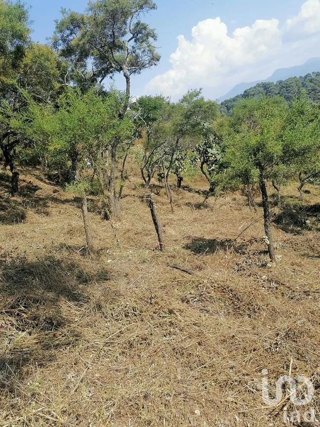 Terreno en Venta en San Gaspar, Valle de Bravo, Estado De México | NEX-227320 | iad México | Foto 11 de 14