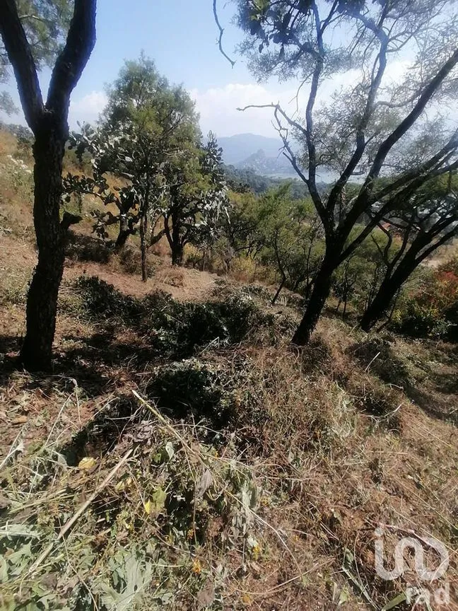 Terreno en Venta en San Gaspar, Valle de Bravo, Estado De México | NEX-227320 | iad México | Foto 12 de 14