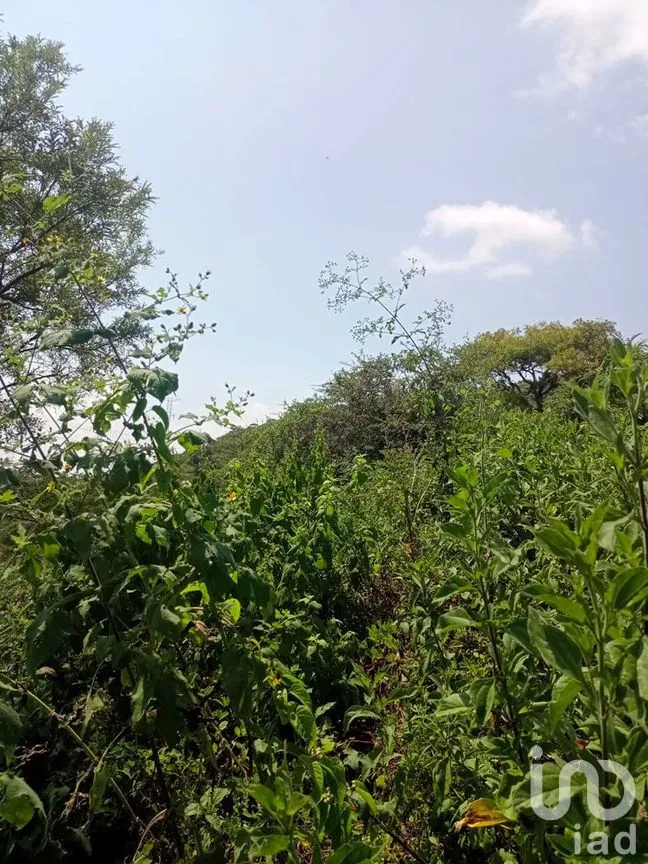 Terreno en Venta en San Gaspar, Valle de Bravo, Estado De México | NEX-227320 | iad México | Foto 13 de 14