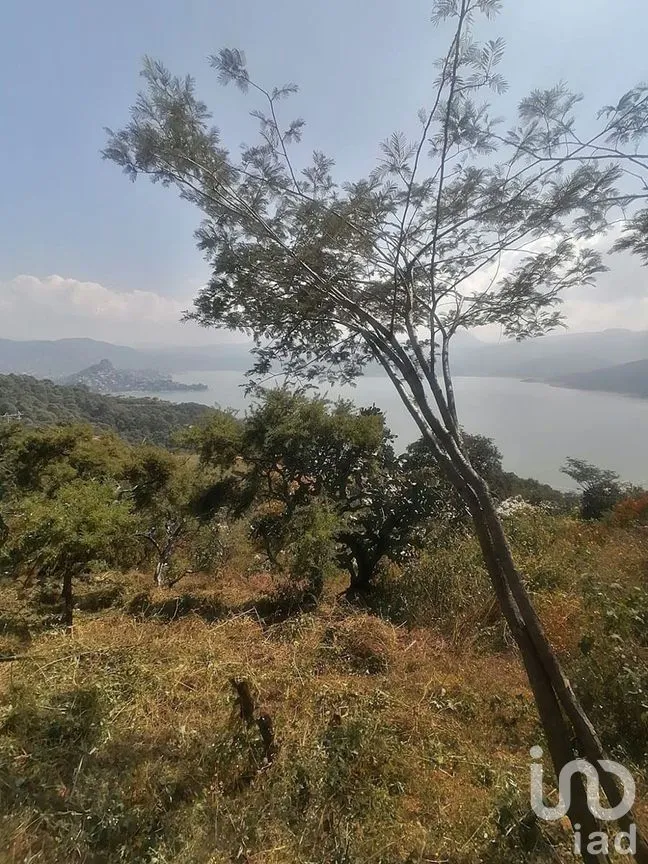 Terreno en Venta en San Gaspar, Valle de Bravo, Estado De México | NEX-227320 | iad México | Foto 7 de 14