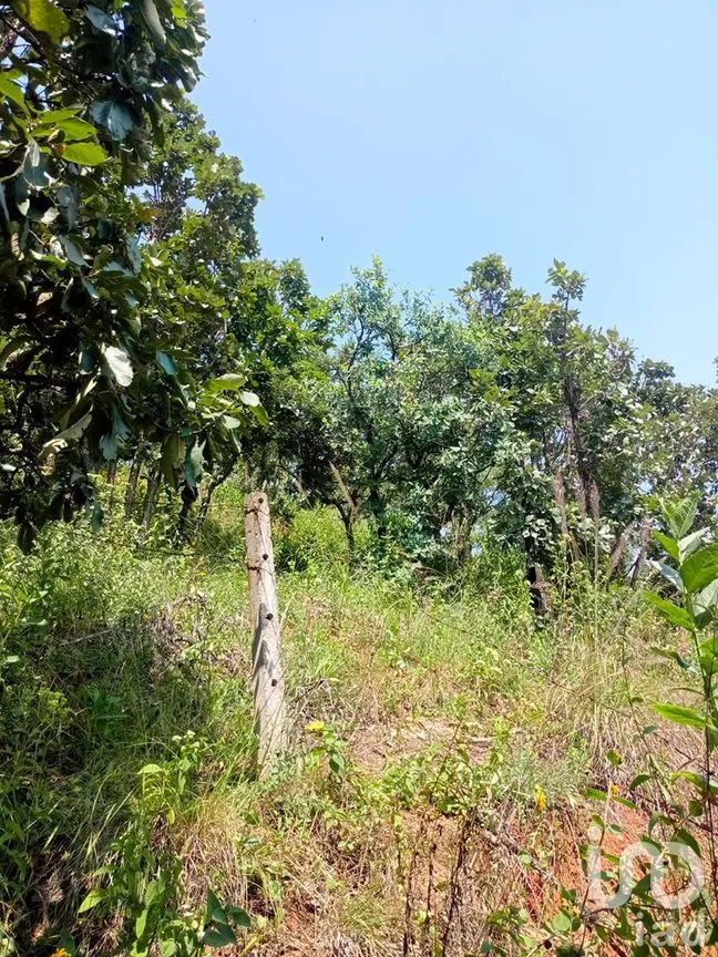 Terreno en Venta en San Gaspar, Valle de Bravo, Estado De México | NEX-227320 | iad México | Foto 10 de 14