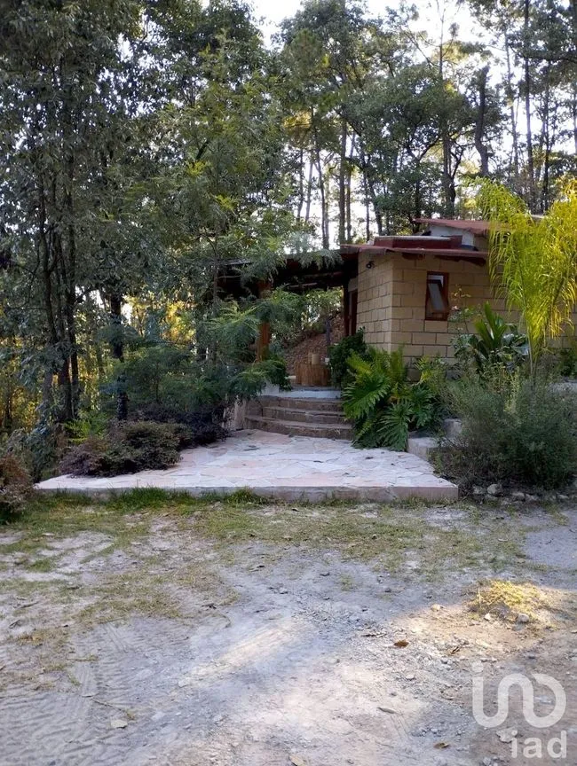 Casa en Renta en Avándaro, Valle de Bravo, Estado De México | NEX-227321 | iad México | Foto 1 de 16