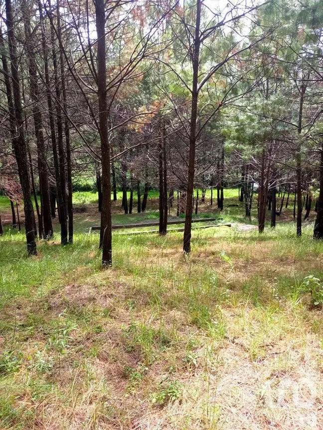 Terreno en Venta en Amanalco de Becerra, Amanalco, Estado De México | NEX-227322 | iad México | Foto 12 de 15