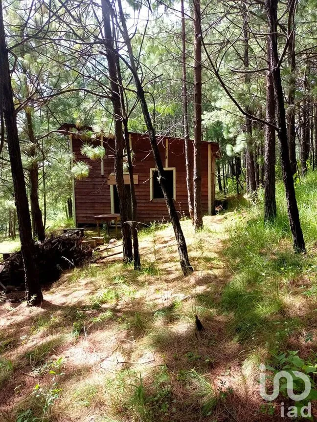 Terreno en Venta en Amanalco de Becerra, Amanalco, Estado De México | NEX-227322 | iad México | Foto 13 de 15