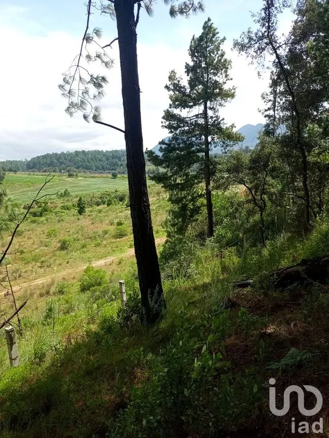 Terreno en Venta en Amanalco de Becerra, Amanalco, Estado De México | NEX-227322 | iad México | Foto 14 de 15