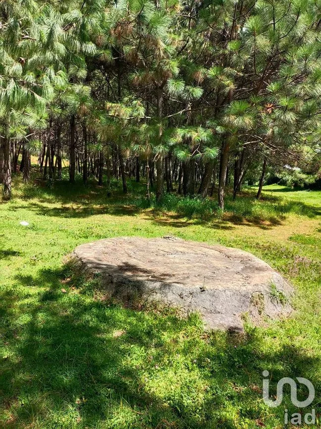 Terreno en Venta en Amanalco de Becerra, Amanalco, Estado De México | NEX-227322 | iad México | Foto 3 de 15