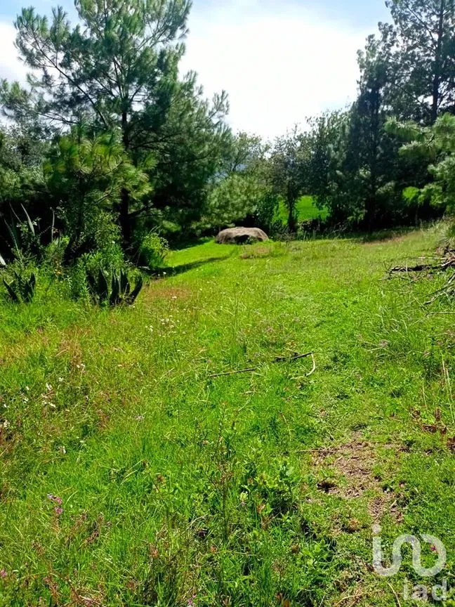 Terreno en Venta en Amanalco de Becerra, Amanalco, Estado De México | NEX-227322 | iad México | Foto 1 de 15