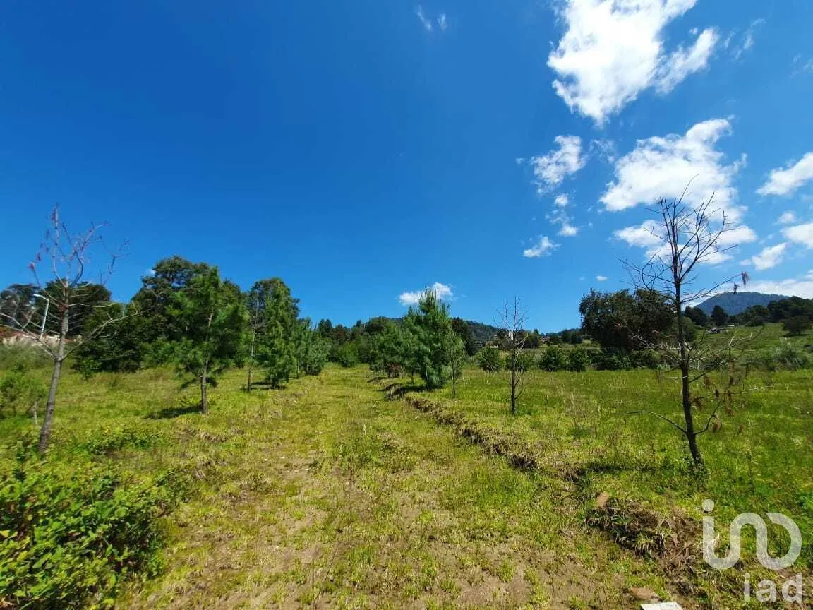 Terreno en Venta en San Simón el Alto, Valle de Bravo, Estado De México | NEX-227323 | iad México | Foto 11 de 14