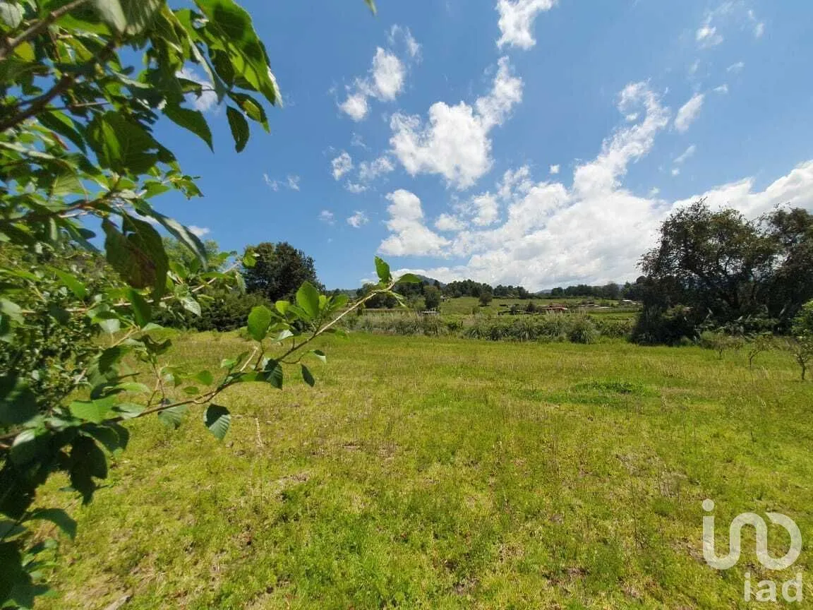 Terreno en Venta en San Simón el Alto, Valle de Bravo, Estado De México | NEX-227323 | iad México | Foto 12 de 14
