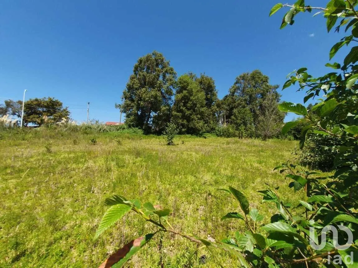 Terreno en Venta en San Simón el Alto, Valle de Bravo, Estado De México | NEX-227323 | iad México | Foto 14 de 14